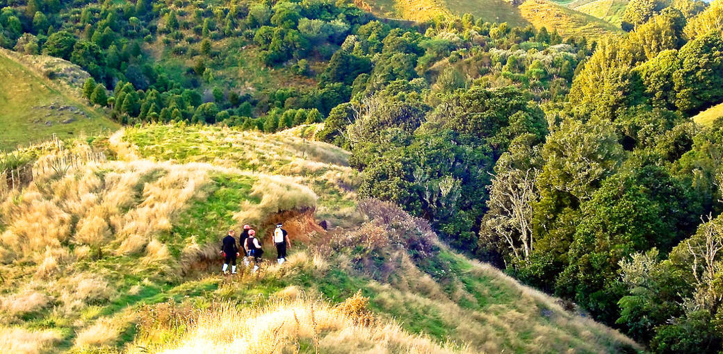 Free Things To Do  The Waitomo Walkway