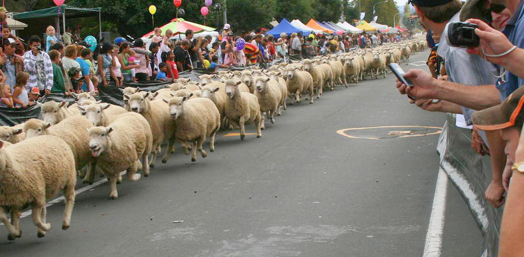Free Things To Do  Te Kuiti