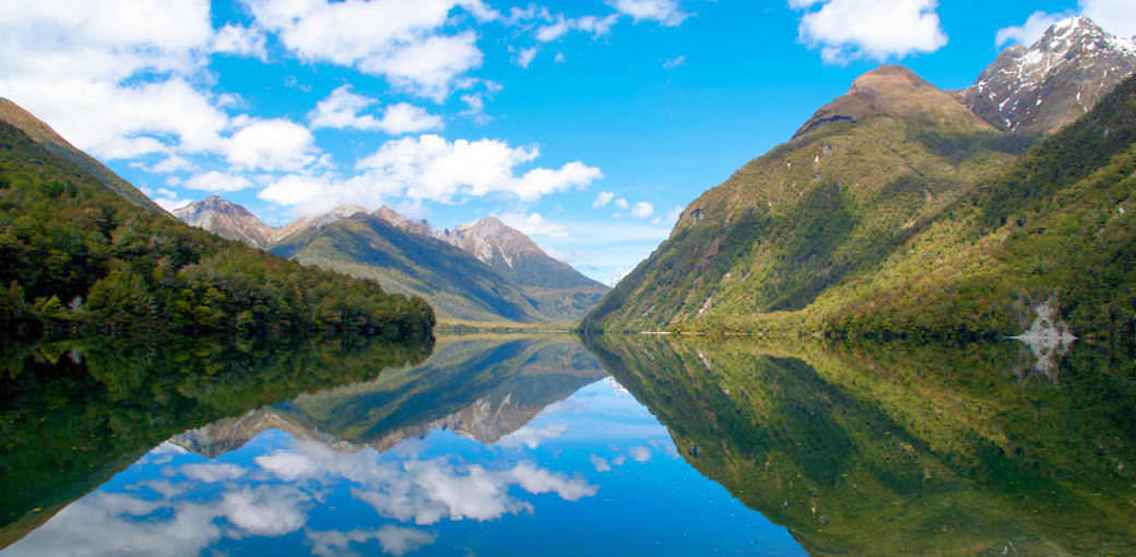 Free Things To Do  Lake Gunn Nature Walk