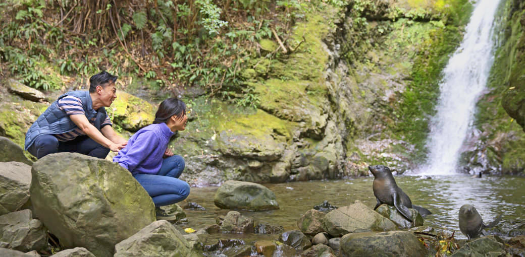Free Things To Do  Ohau Waterfall Walk