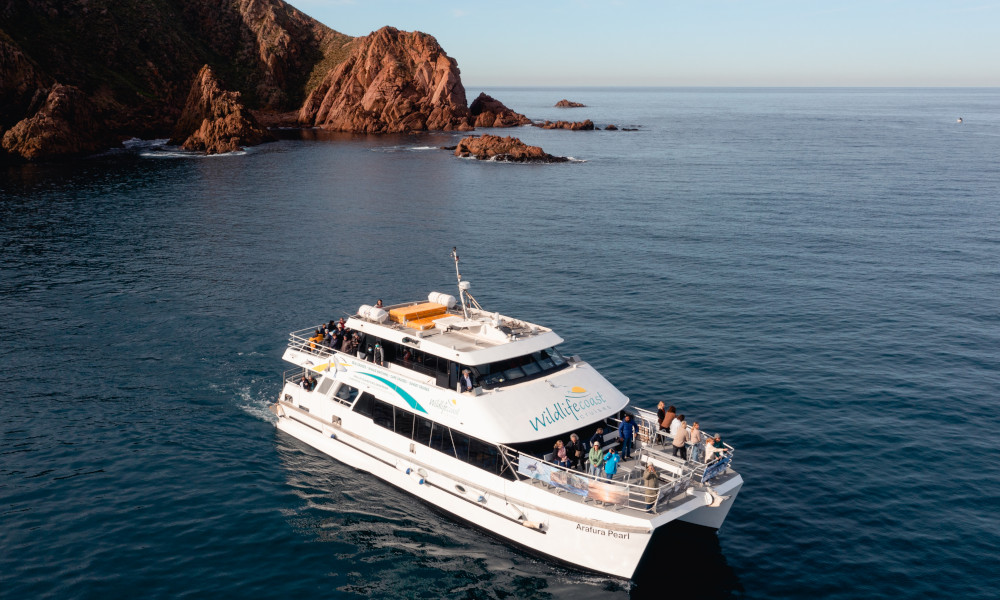Cape Cruise