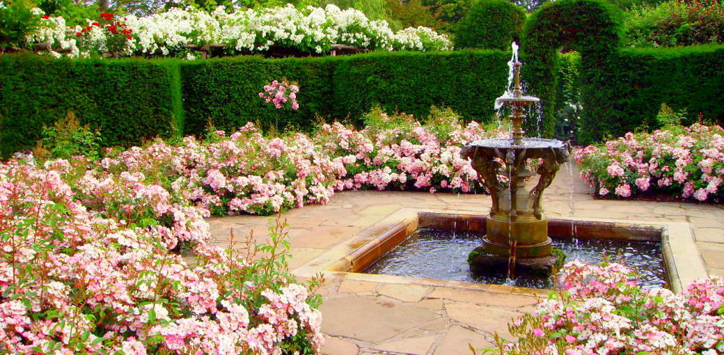 Free Things To Do  Parnell Rose Garden