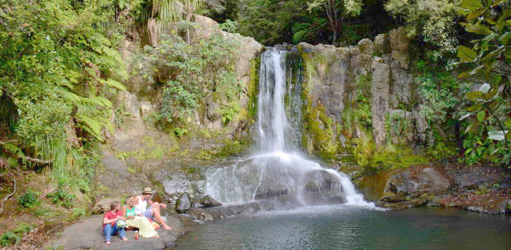 Free Things To Do  Waiau Falls & Kauri Grove Lookout