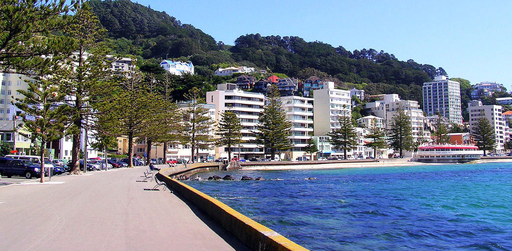 Free Things To Do  Oriental Bay