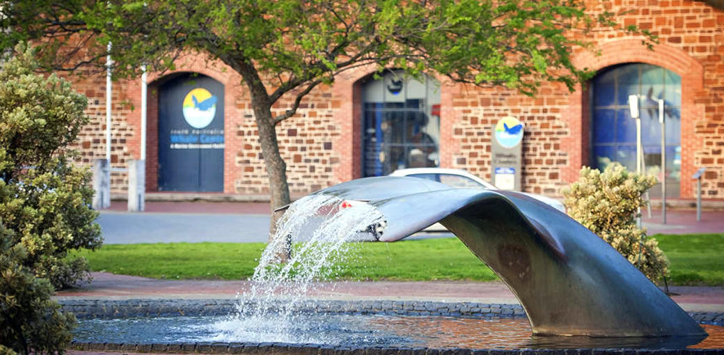 Free Things To Do  South Australian Whale Centre