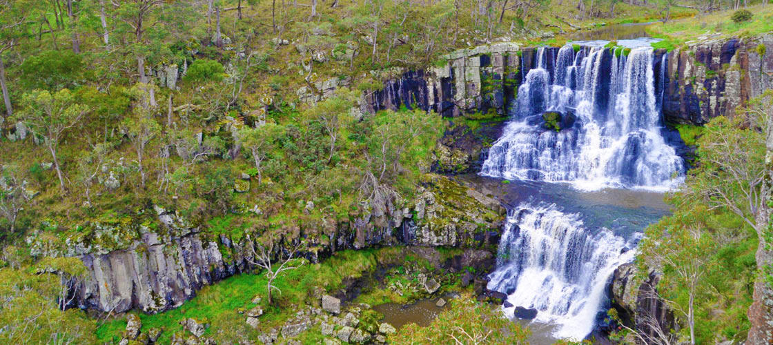 Free Things To Do  Waterfall Way Scenic Drive