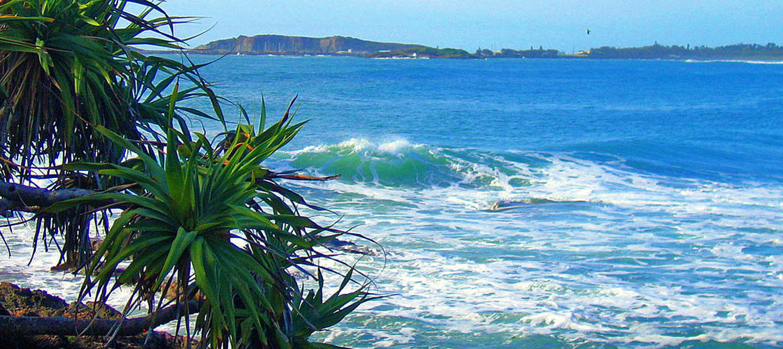 Free Things To Do  Park Beach Coffs Harbour