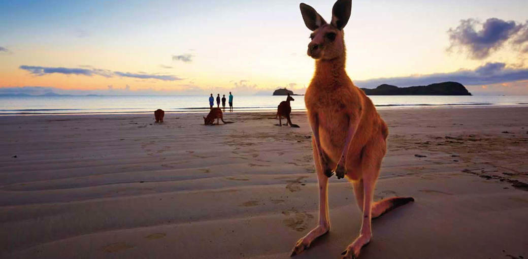 Free Things To Do  Cape Hillsborough National Park