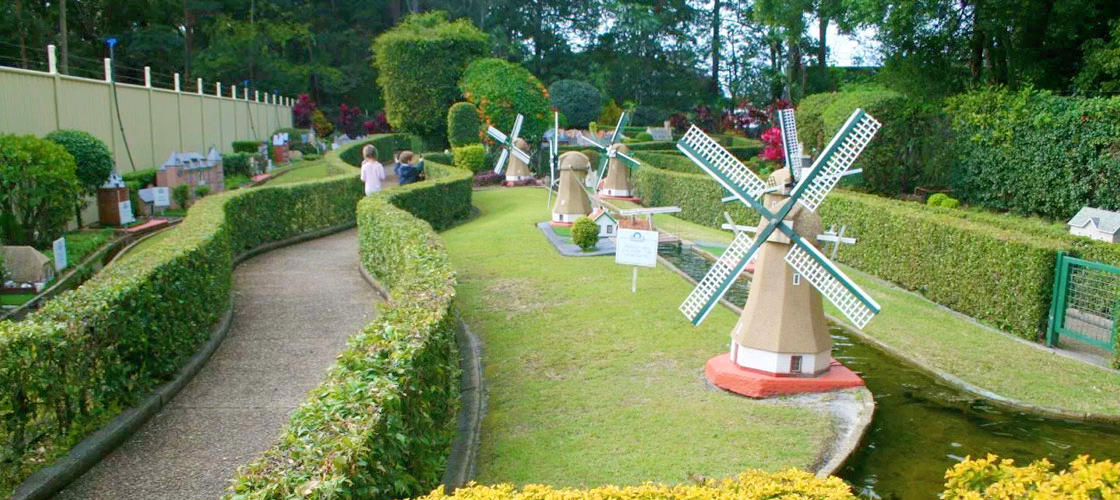 Free Things To Do  Clog Barn Coffs Harbour