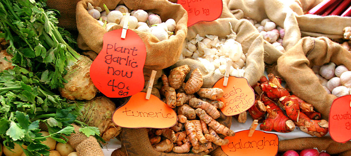 Free Things To Do  Noosa Farmers Market
