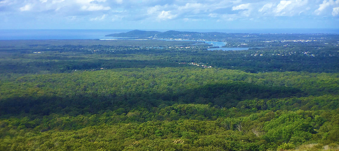 Free Things To Do  Tewantin National Park Noosa