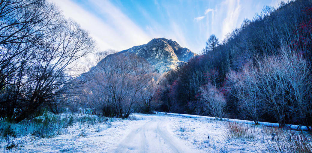 Free Things To Do  Sawpit Gully Track