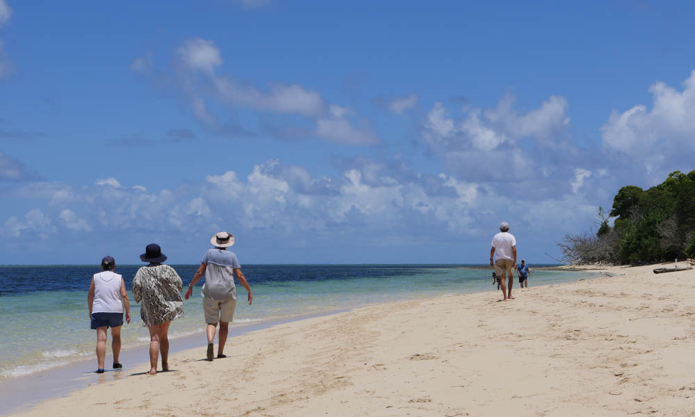 people walking on beach at green island