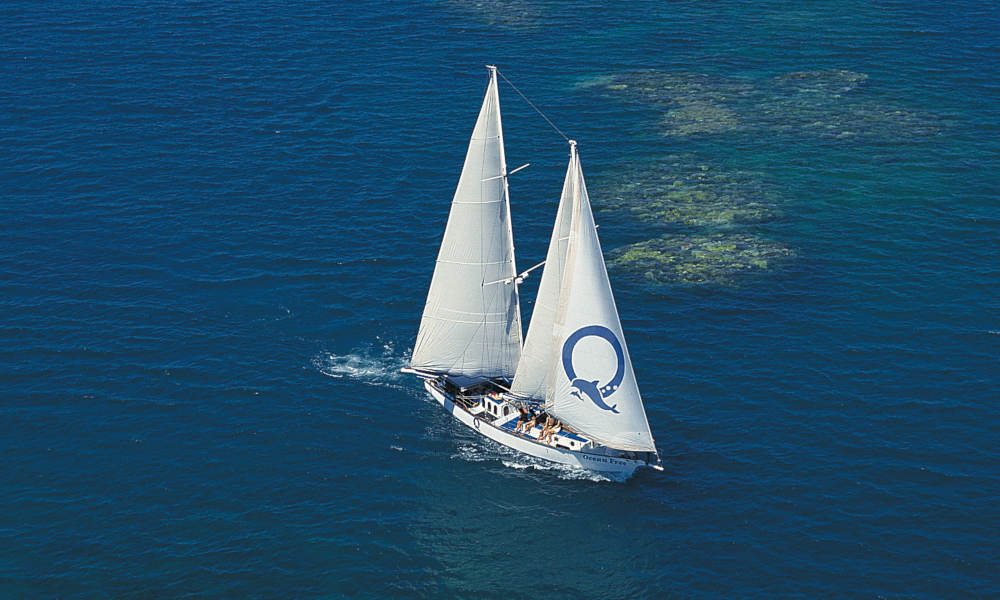 ocean free sailing cairns