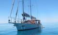 Green Island Sailing Cruise Thumbnail 5