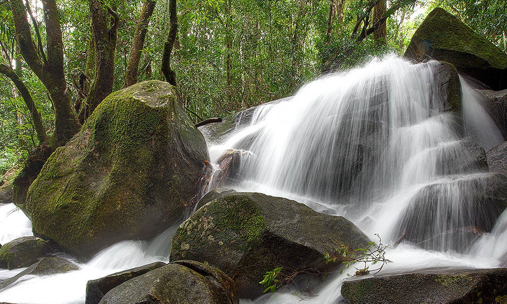 capetrib2