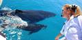 Brisbane Whale Watching Tour with Lunch and Brisbane Transfers Thumbnail 3