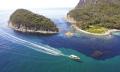 Bruny Island Wilderness Cruise and Bus Transfer from Kettering Thumbnail 6