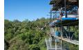 Cairns Bungy Jumping Thumbnail 5