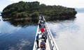 Gordon River Cruise with Lunch Thumbnail 2
