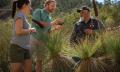 Flinders Ranges 4WD Aboriginal Cultural Sunset Tour Thumbnail 4