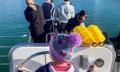 Mandurah Dolphin Watching and Scenic Marine Cruise Thumbnail 6