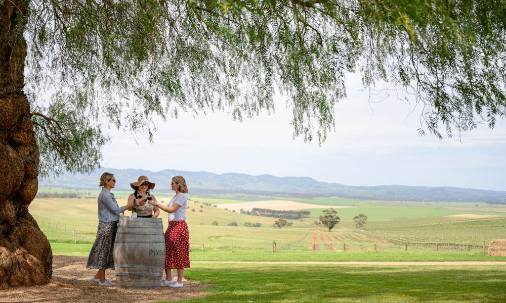 Barossa Food and Wine Experience Gallery Banner 1