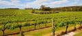 Swan Valley Wineries Full Day Tour with Afternoon Cruise Thumbnail 6