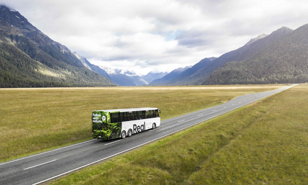 bus