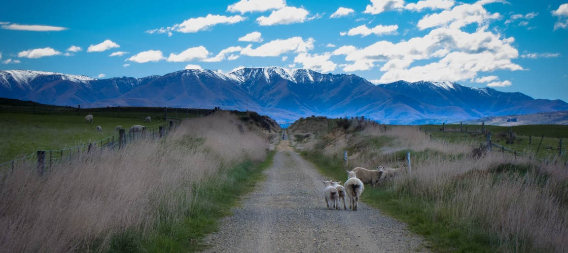  Trail Journeys Cycling ex Clyde or Queenstown