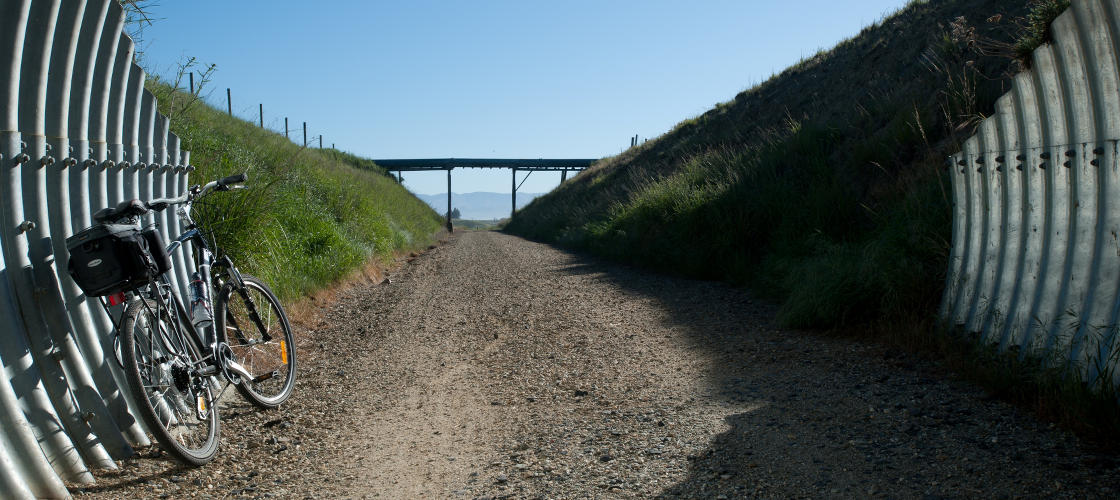  Trail Journeys Cycling ex Clyde or Queenstown