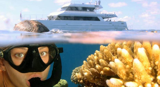 Calypso Snorkel Cruise Great Barrier Reef