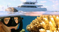 Great Barrier Reef Snorkel and Dive Cruise Thumbnail 1