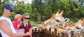 Australia Zoo Entry with Sunshine Coast Hotel Transfers Thumbnail 4