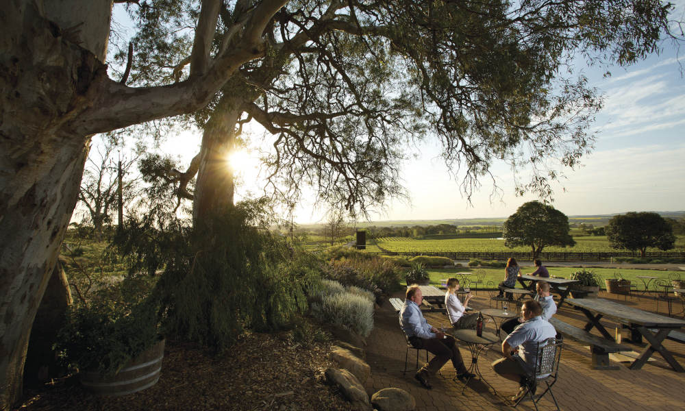  group of people enjoying the sunset and a wine on deck 