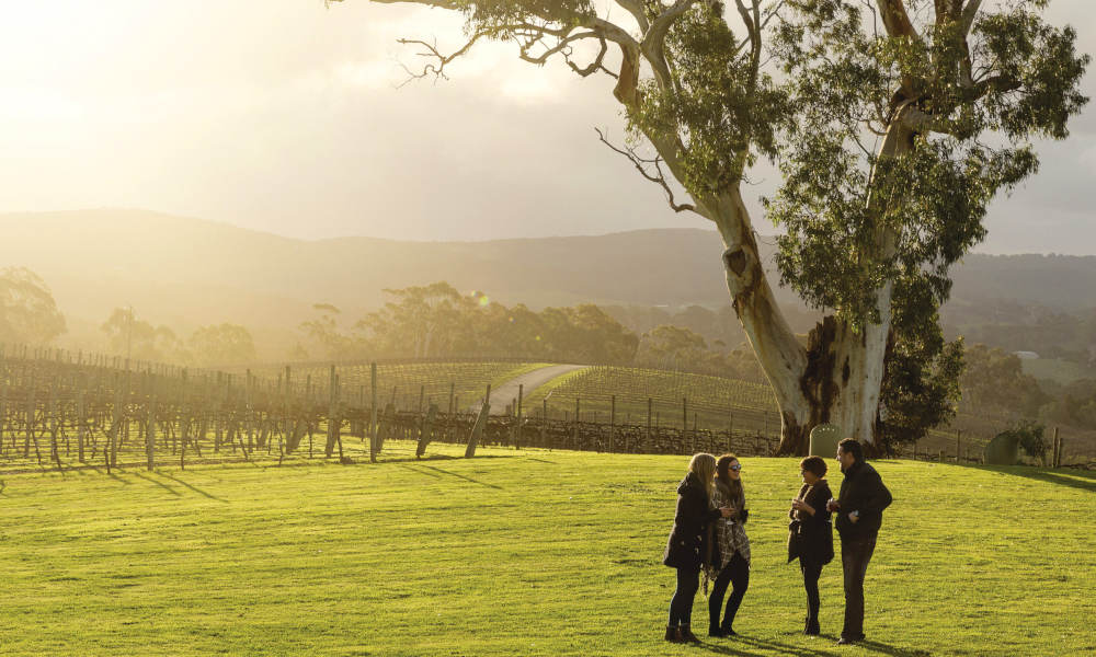 Top Things to do in Hahndorf 2024 - Book Online | ClubConnect