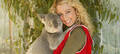 Paradise Country Koala Breakfast Thumbnail 2
