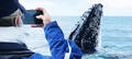 Byron Bay Whale Watching Premier Cruise Thumbnail 6