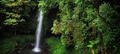 Rainforest And Waterfall Experience Thumbnail 1