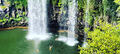 Rainforest And Waterfall Experience Thumbnail 6