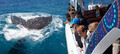 Hervey Bay 3 Hour Whale Watching Cruise Thumbnail 1