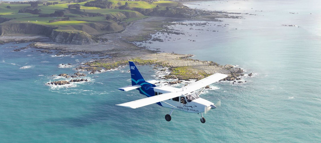 Kaikoura Whale Watch Seaplane Flight