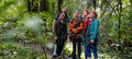 Rotorua Forest Zipline Ultimate Canopy Tour Thumbnail 1