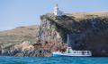 Otago Peninsula Wildlife Cruise with Transport Thumbnail 5