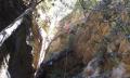 Blue Mountains Abseiling And Canyoning Thumbnail 1