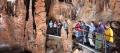 Full Day Jenolan Caves Tour from Sydney Thumbnail 2