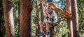 Coffs Harbour Treetop Adventure Park Thumbnail 1