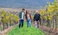 Hunter Valley Scenic Wine and Dine Thumbnail 2