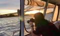 Sydney Harbour Sunset Catamaran Cruise Thumbnail 3