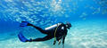 Cook Island Scuba Diving Tour Thumbnail 2